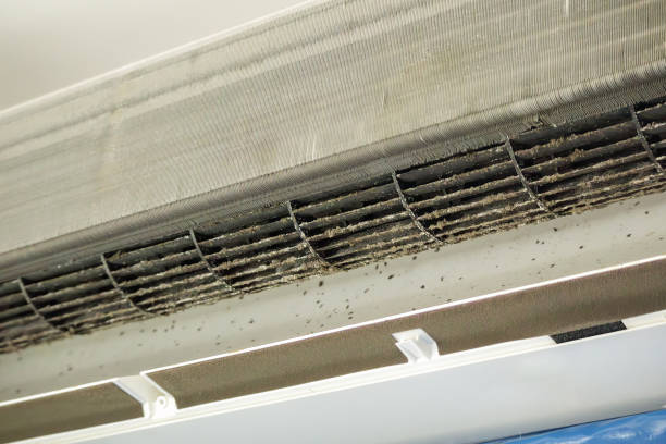 Best Ductwork Cleaning Services  in Luckey, OH